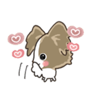 もふもふパピヨン♡年中使える（個別スタンプ：22）