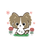 もふもふパピヨン♡年中使える（個別スタンプ：24）