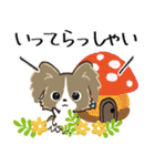もふもふパピヨン♡年中使える（個別スタンプ：25）
