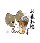 もふもふパピヨン♡年中使える（個別スタンプ：29）