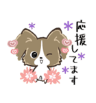もふもふパピヨン♡年中使える（個別スタンプ：32）