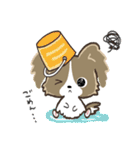 もふもふパピヨン♡年中使える（個別スタンプ：33）