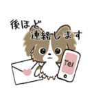 もふもふパピヨン♡年中使える（個別スタンプ：36）