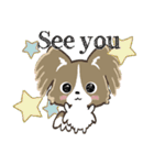 もふもふパピヨン♡年中使える（個別スタンプ：37）