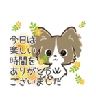 もふもふパピヨン♡年中使える（個別スタンプ：39）