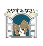 もふもふパピヨン♡年中使える（個別スタンプ：40）