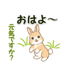 ふわふわ子ウサギ 毎日＆年末年始（個別スタンプ：1）