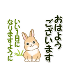 ふわふわ子ウサギ 毎日＆年末年始（個別スタンプ：2）