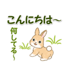 ふわふわ子ウサギ 毎日＆年末年始（個別スタンプ：3）