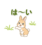 ふわふわ子ウサギ 毎日＆年末年始（個別スタンプ：11）