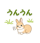 ふわふわ子ウサギ 毎日＆年末年始（個別スタンプ：12）