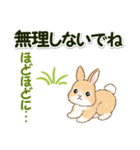 ふわふわ子ウサギ 毎日＆年末年始（個別スタンプ：15）