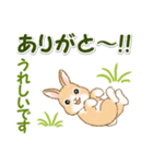 ふわふわ子ウサギ 毎日＆年末年始（個別スタンプ：18）