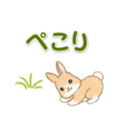 ふわふわ子ウサギ 毎日＆年末年始（個別スタンプ：20）