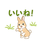 ふわふわ子ウサギ 毎日＆年末年始（個別スタンプ：21）