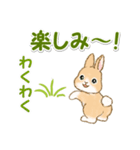 ふわふわ子ウサギ 毎日＆年末年始（個別スタンプ：23）