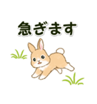 ふわふわ子ウサギ 毎日＆年末年始（個別スタンプ：31）