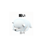 韓国語会話 サモエド犬KRJP 6rG（個別スタンプ：5）