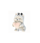 韓国語会話 サモエド犬KRJP 6rG（個別スタンプ：7）