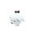 韓国語会話 サモエド犬KRJP 6rG（個別スタンプ：12）
