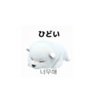 韓国語会話 サモエド犬KRJP 6rG（個別スタンプ：13）