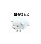 韓国語会話 サモエド犬KRJP 6rG（個別スタンプ：16）