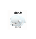 韓国語会話 サモエド犬KRJP 6rG（個別スタンプ：17）