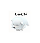 韓国語会話 サモエド犬KRJP 6rG（個別スタンプ：19）