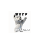 韓国語会話 サモエド犬KRJP 6rG（個別スタンプ：22）