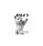 韓国語会話 サモエド犬KRJP 6rG（個別スタンプ：27）