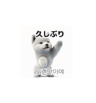韓国語会話 サモエド犬KRJP 6rG（個別スタンプ：33）