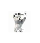 韓国語会話 サモエド犬KRJP 6rG（個別スタンプ：36）