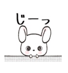 冬*年末年始❄️白うさぎちゃん（個別スタンプ：21）