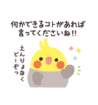 ことりづくし【ゆる敬語3】（個別スタンプ：24）