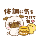 冬のパグちゃんず♡（個別スタンプ：19）