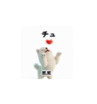韓国語会話 サモエド犬KRJP aWg（個別スタンプ：1）