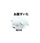 韓国語会話 サモエド犬KRJP aWg（個別スタンプ：10）