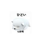 韓国語会話 サモエド犬KRJP aWg（個別スタンプ：13）