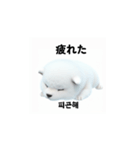 韓国語会話 サモエド犬KRJP aWg（個別スタンプ：17）