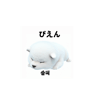 韓国語会話 サモエド犬KRJP aWg（個別スタンプ：18）