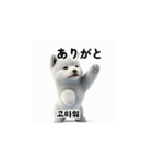 韓国語会話 サモエド犬KRJP aWg（個別スタンプ：21）