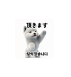 韓国語会話 サモエド犬KRJP aWg（個別スタンプ：22）