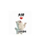 韓国語会話 サモエド犬KRJP aWg（個別スタンプ：23）
