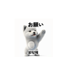 韓国語会話 サモエド犬KRJP aWg（個別スタンプ：24）