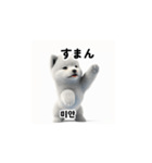 韓国語会話 サモエド犬KRJP aWg（個別スタンプ：25）
