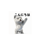 韓国語会話 サモエド犬KRJP aWg（個別スタンプ：26）
