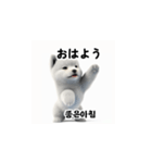 韓国語会話 サモエド犬KRJP aWg（個別スタンプ：27）