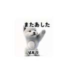 韓国語会話 サモエド犬KRJP aWg（個別スタンプ：28）