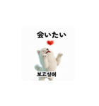 韓国語会話 サモエド犬KRJP aWg（個別スタンプ：35）