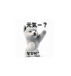 韓国語会話 サモエド犬KRJP aWg（個別スタンプ：36）